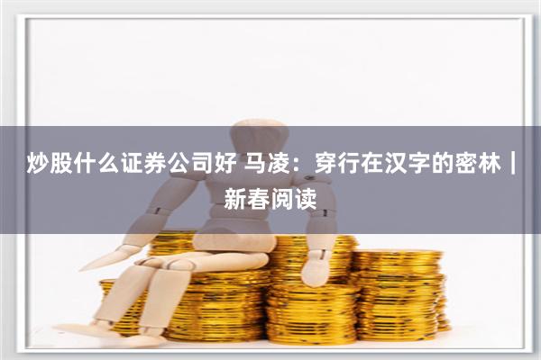 炒股什么证券公司好 马凌：穿行在汉字的密林｜新春阅读