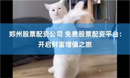 郑州股票配资公司 免费股票配资平台:开启财富增值之旅