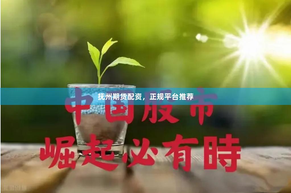 抚州期货配资，正规平台推荐